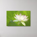 Suche nach washington dc leinwandbilder Blume