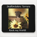 Suche nach stammbaum mousepads Hunde