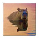 Suche nach capybara fliesen South america