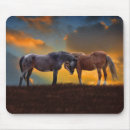 Recherche de chevaux sauvages tapis souris Pays