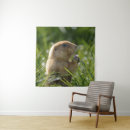 Suche nach tierreich poster Tierwelt