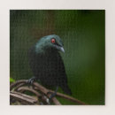 Suche nach rote augen puzzle Tierwelt