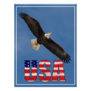 Suche nach flagge und adler poster Usa