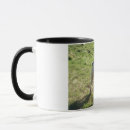 Recherche de musique animale tasses Chien