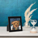 Suche nach buller fotoplatten Weihnachten