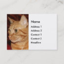 Suche nach tabby visitenkarten Tabelle