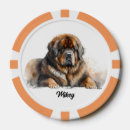 Suche nach hund poker chips Spaß