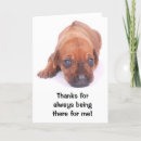 Suche nach ridgebacks karten Haustier