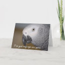 Suche nach lustige papageien postkarten Fotografie