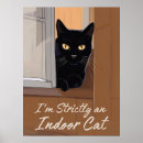 Suche nach katze fenster poster Hauskatze