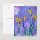 Recherche de iris jaune cartes postales Pourpre