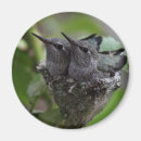 Recherche de adorable photographie Nature
