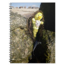 Suche nach unterwasser kleine notizbücher Mermaid