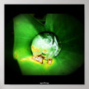 Recherche de macro art Tropical