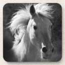 Suche nach schwarzes pferd untersetzer Pferde