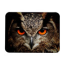 Suche nach augen magnete Schön