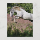 Recherche de galoper cartes postales Fleurs