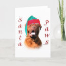 Suche nach dogue karten Hunde