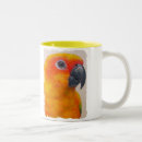 Recherche de perroquet tasses Animal familier