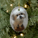 Recherche de tzu shih ornements Animaux domestiques