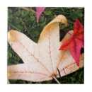 Suche nach herbst blätter fliesen Ahorn