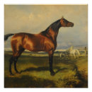 Recherche de chevaux sauvages posters Vintage