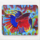 Suche nach siamesisch Aquarell
