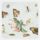 Suche nach schmetterlinge und motten aufkleber Käfer