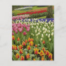 Suche nach keukenhof gärten postkarten Park