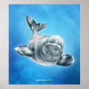 Suche nach beluga poster Illustration