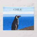 Recherche de patagonie cartes postales Torres del paine