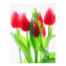 Suche nach rote tulpen poster Blumengarten