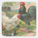 Suche nach hahn aufkleber Landwirtschaft