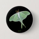 Suche nach motten buttons Luna
