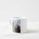 Recherche de poney shetland tasses Cheval