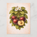 Suche nach kirsche postkarten Illustration