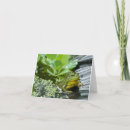 Recherche de de grenouille correspondances cartes Vert