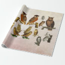 Suche nach vintage vögel geschenkpapier Eule
