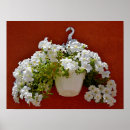 Suche nach blumentöpfe poster Blüte