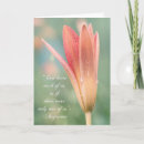 Suche nach augustiner karten Augustinisch