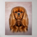 Suche nach king poster Hund