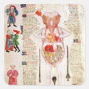 Recherche de dissection autocollants Cadavre