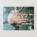 Recherche de toupie cartes postales Drôle