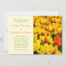 Recherche de champ de tulipe Orange