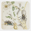 Suche nach spinnen aufkleber Insekten