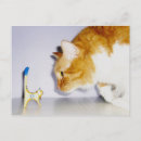Recherche de chats humoristiques cartes postales Pour tous