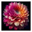 Recherche de fleur de dahlia posters Blanc