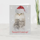 Suche nach waldkatze karten Weihnachten