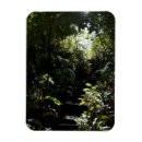 Recherche de escaliers magnets Dehors