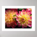 Suche nach dahlien poster Zuhause